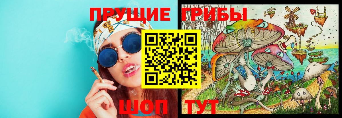 Хабаровск  Псилоцибиновые грибы Magic Shrooms  Вход с VPN 